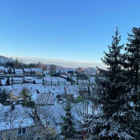 Donald * سانكت اندرياسبرغ